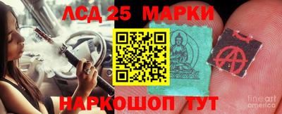 винт Будённовск