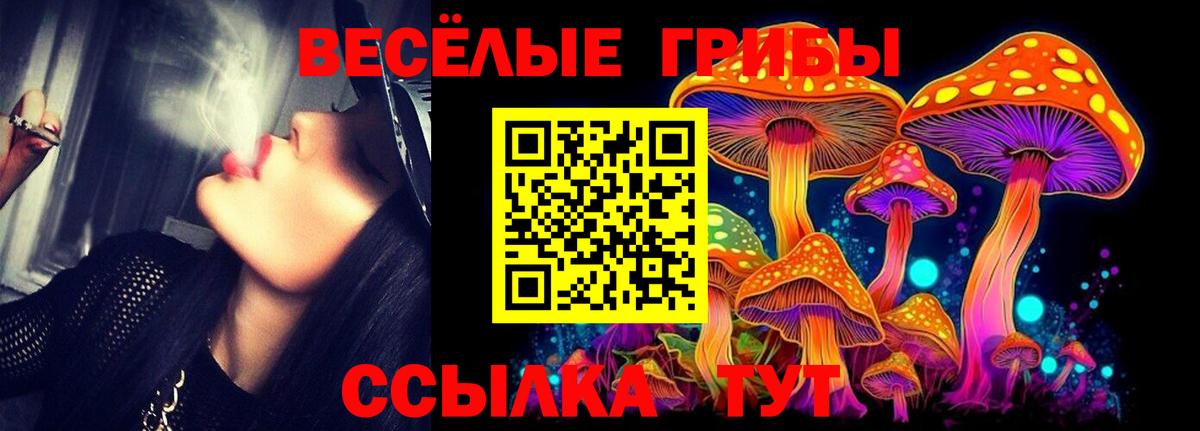 Приморско-Ахтарск  Псилоцибиновые грибы ЛСД  Галлюциногенные грибы мухоморы  цена наркотик  Вход с VPN 